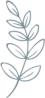 Vector (1)