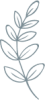 Vector